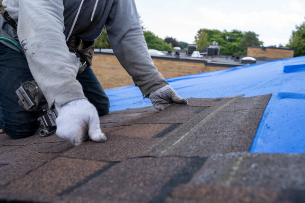 Best Storm Damage Roof Repair  in Platte, SD